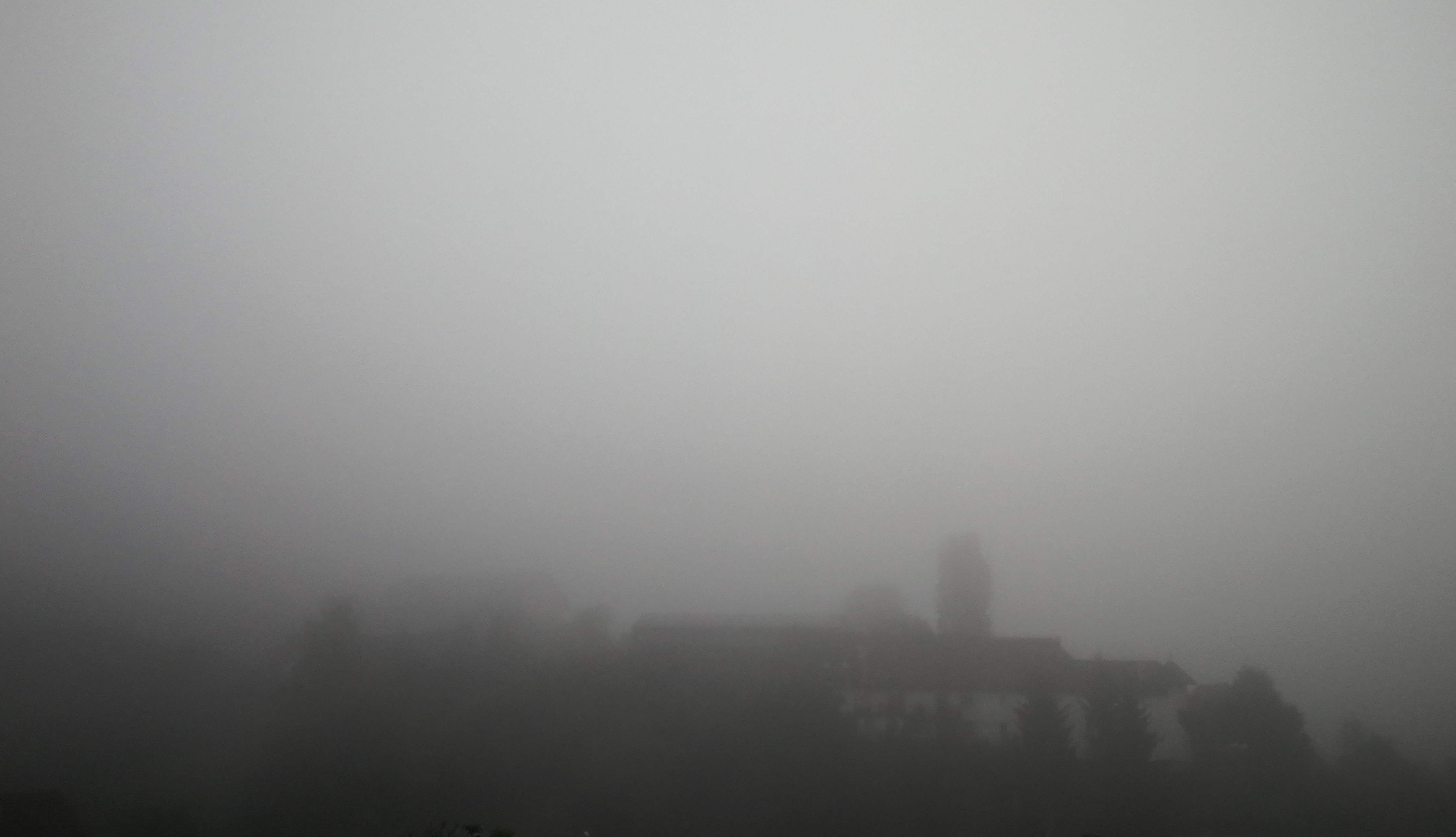 Erster Nebel in Elfingen als Herbstvorbote - Fricktal, Aargau